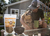 10 Ways to Celebrate National Dog Day in Denver!