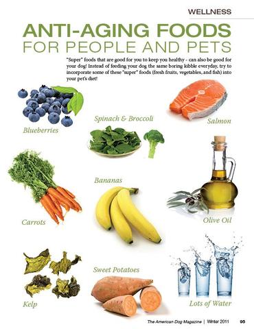 9 Super Foods That are Good for Dogs and People