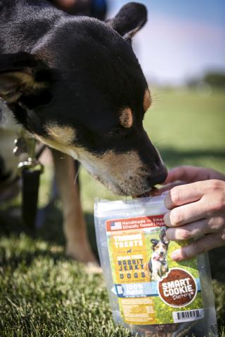 6 Reasons Why You Should Feed Your Dog Rabbit