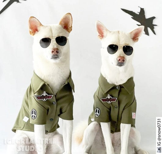 Smart Cookie’s Guide to the Best Halloween Costumes for Your Dog