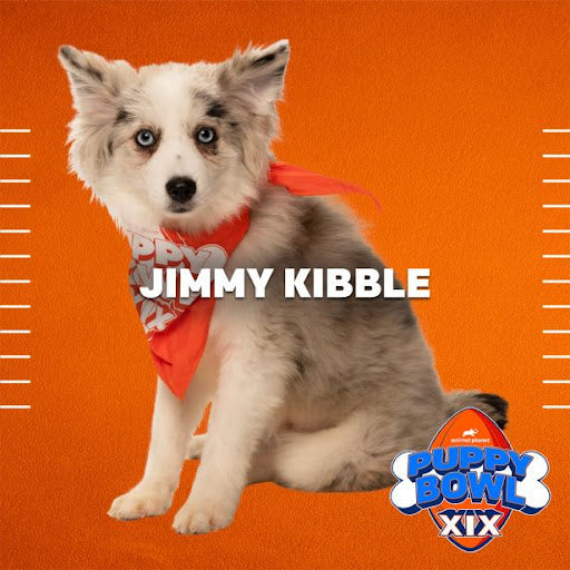 Smart Cookie's Picks for the Puppy Bowl XIX