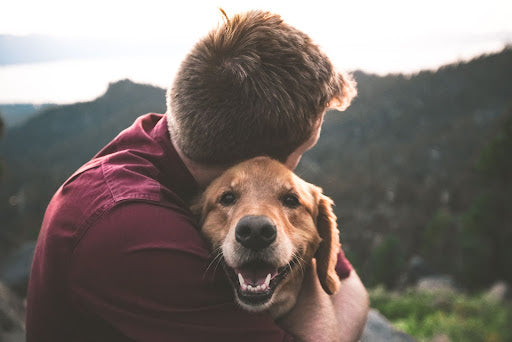 Why You Should Celebrate National Cat Day With Your Dog