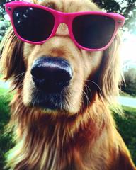 October is Breast Cancer Awareness Month - We Need Your Help!