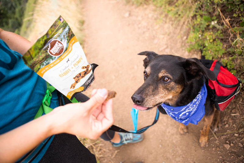 Grain-Free Dog Treats Sampler Pack - NEW!