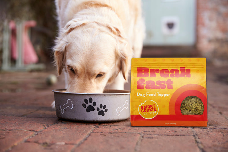 Smart Cookie Dog Food Toppers - They're Here!