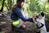 Can I Give My Puppy Dog Treats?  Are Certain Treats Better For Puppies?