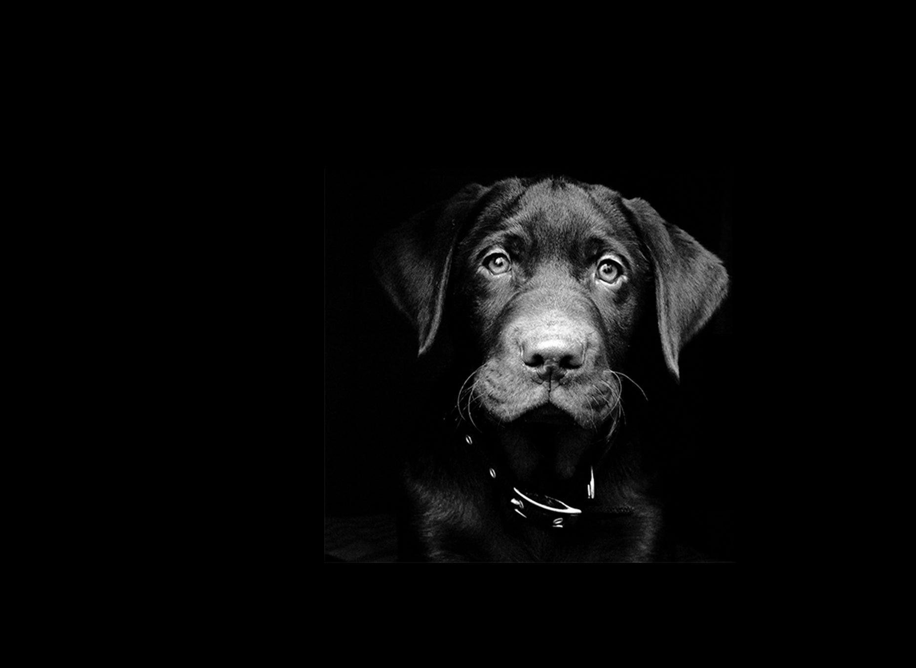 Smart Cookie’s Biggest Sale of The Year