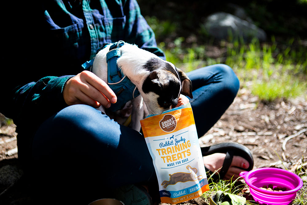 Why Rabbit Jerky is Exploding in Popularity