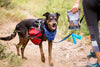 What are Functional Treats and Why They Might Be The Way For Your Dog