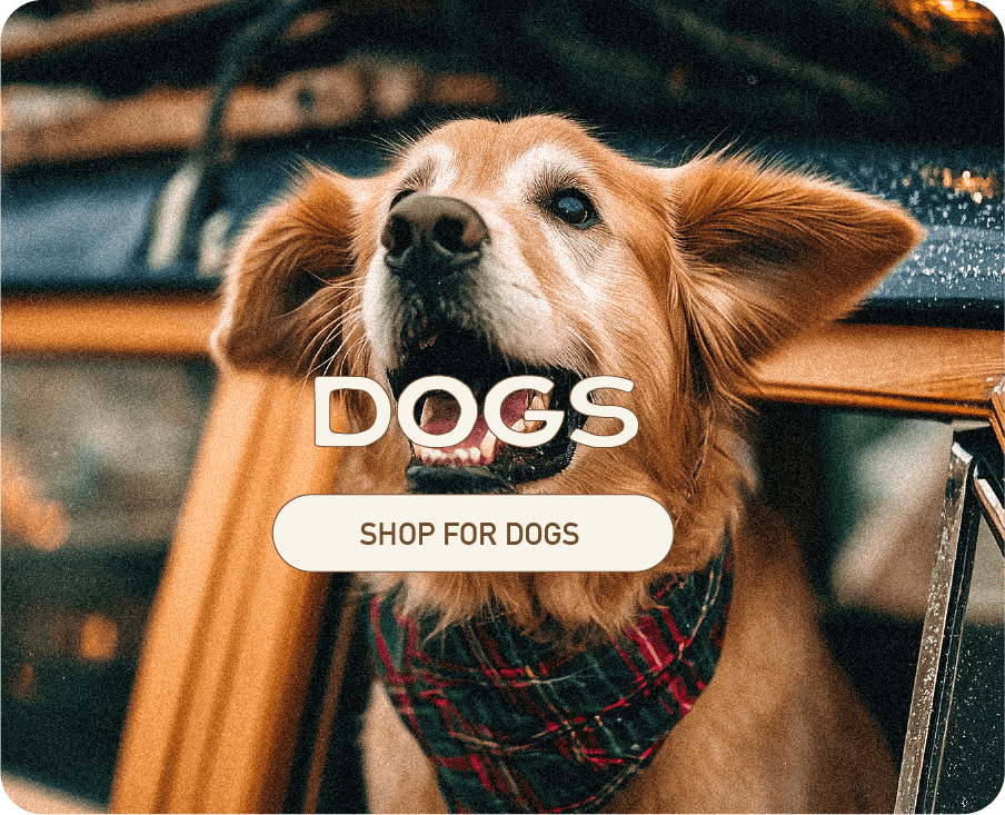 Smart Cookie Dog Treats