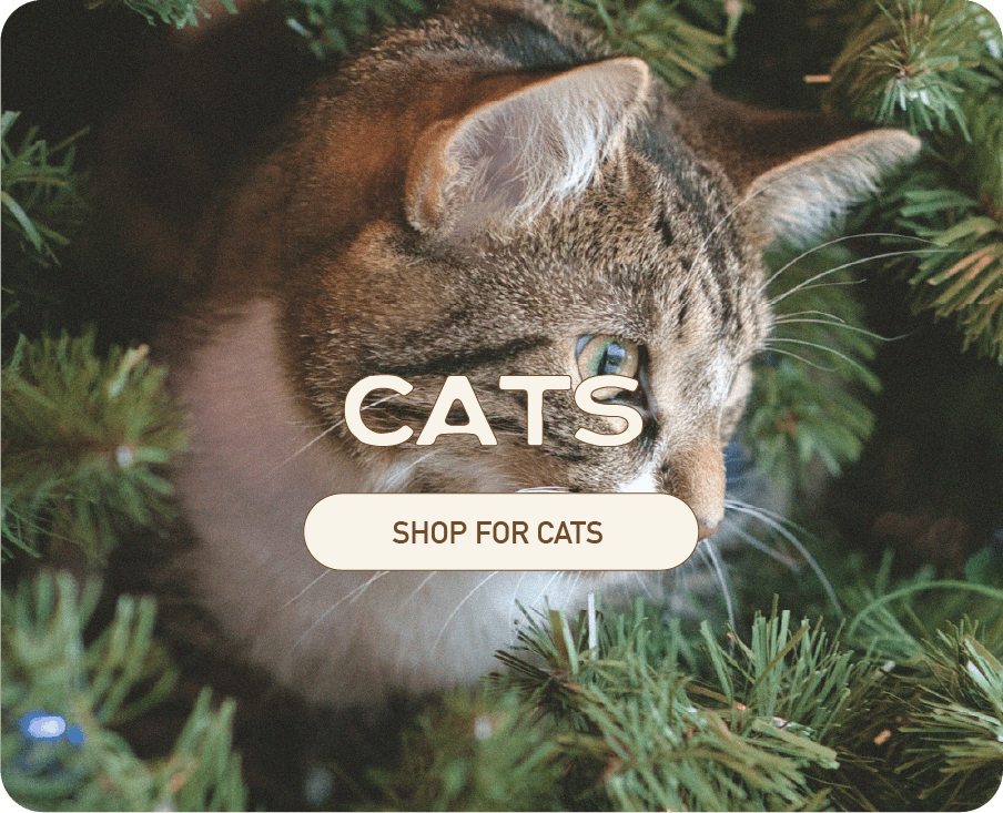 Smart Cookie Dog Treats