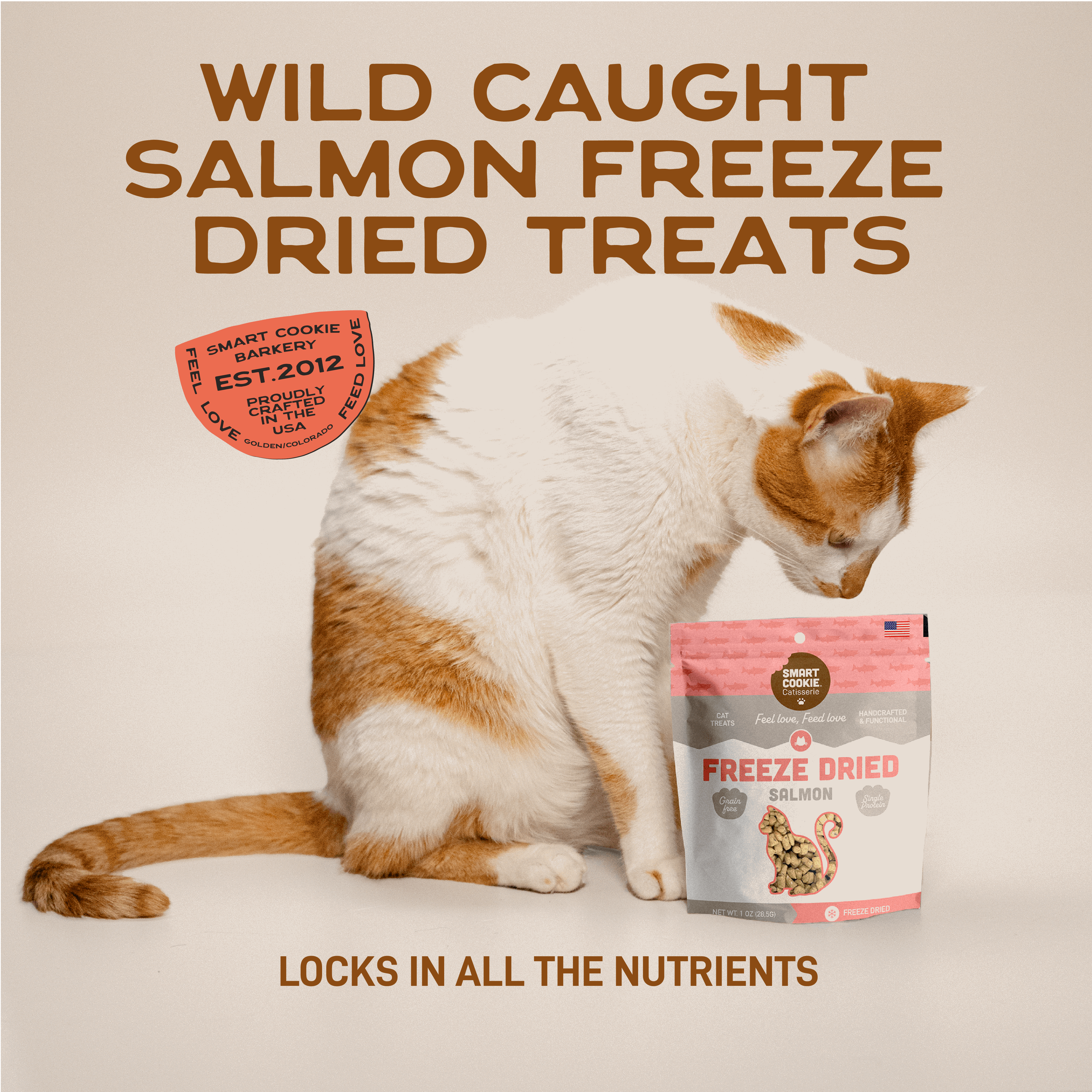 Salmon Cat Treats – Smart Cookie Dog Treats