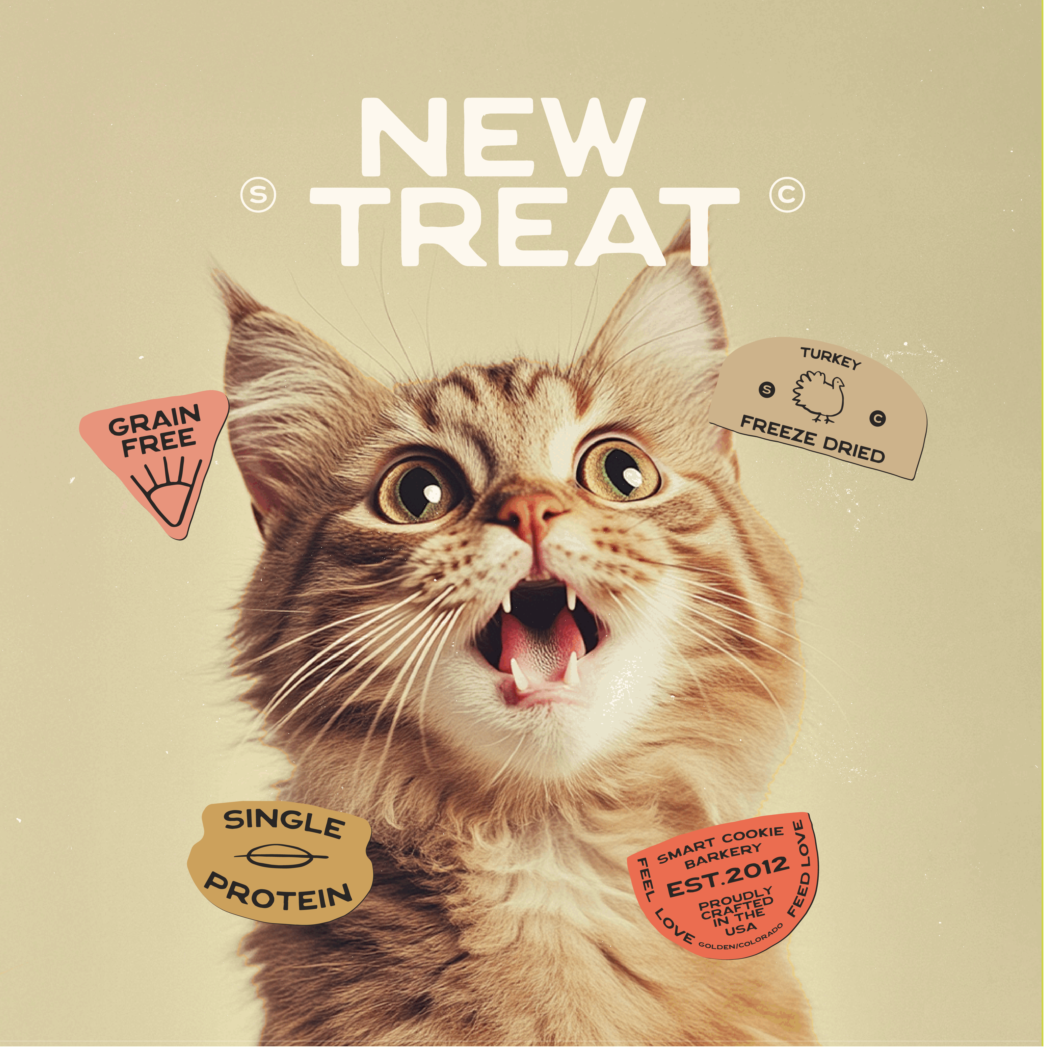 Freeze-Dried Cat Treats Variety Pack – 3 Flavors