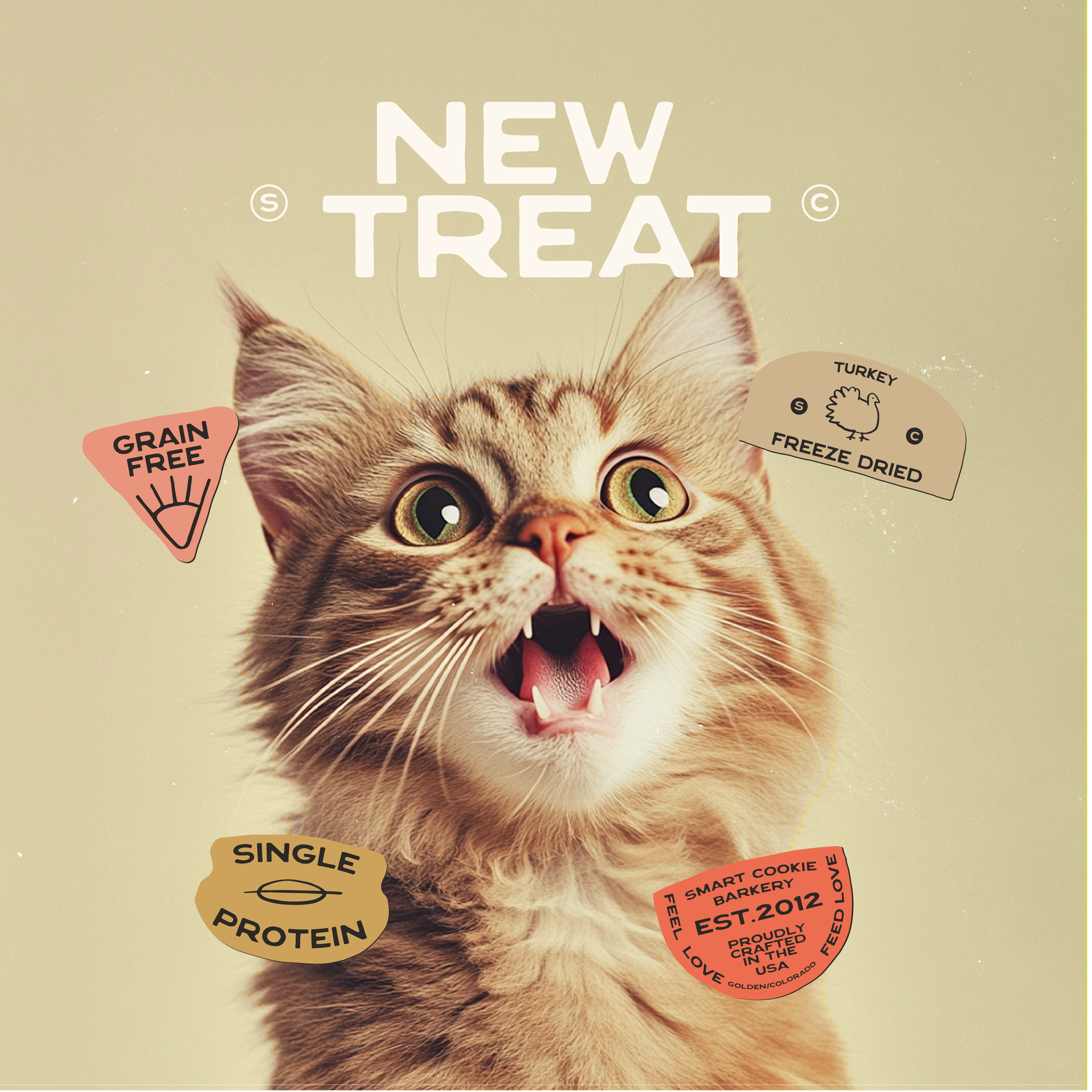 Smart Cookie Dog Treats