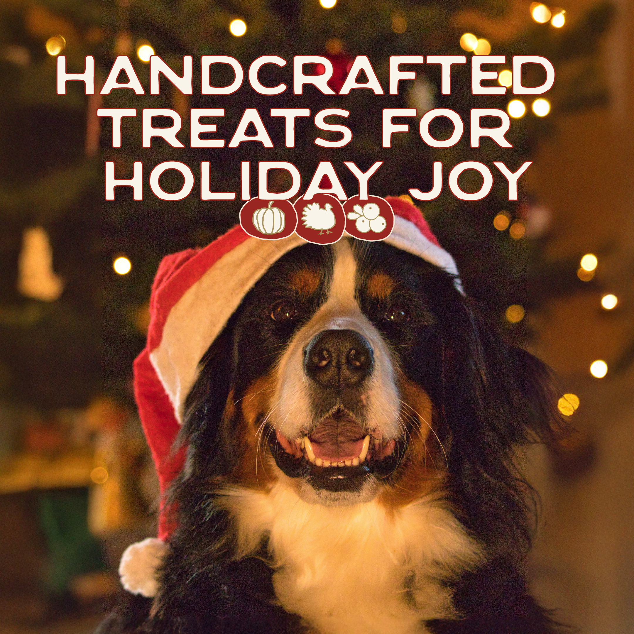 Smart Cookie Dog Treats