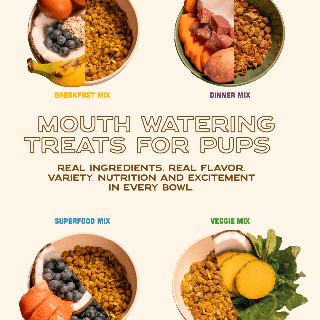 Food Topper Variety Pack 7oz - 4 Flavors