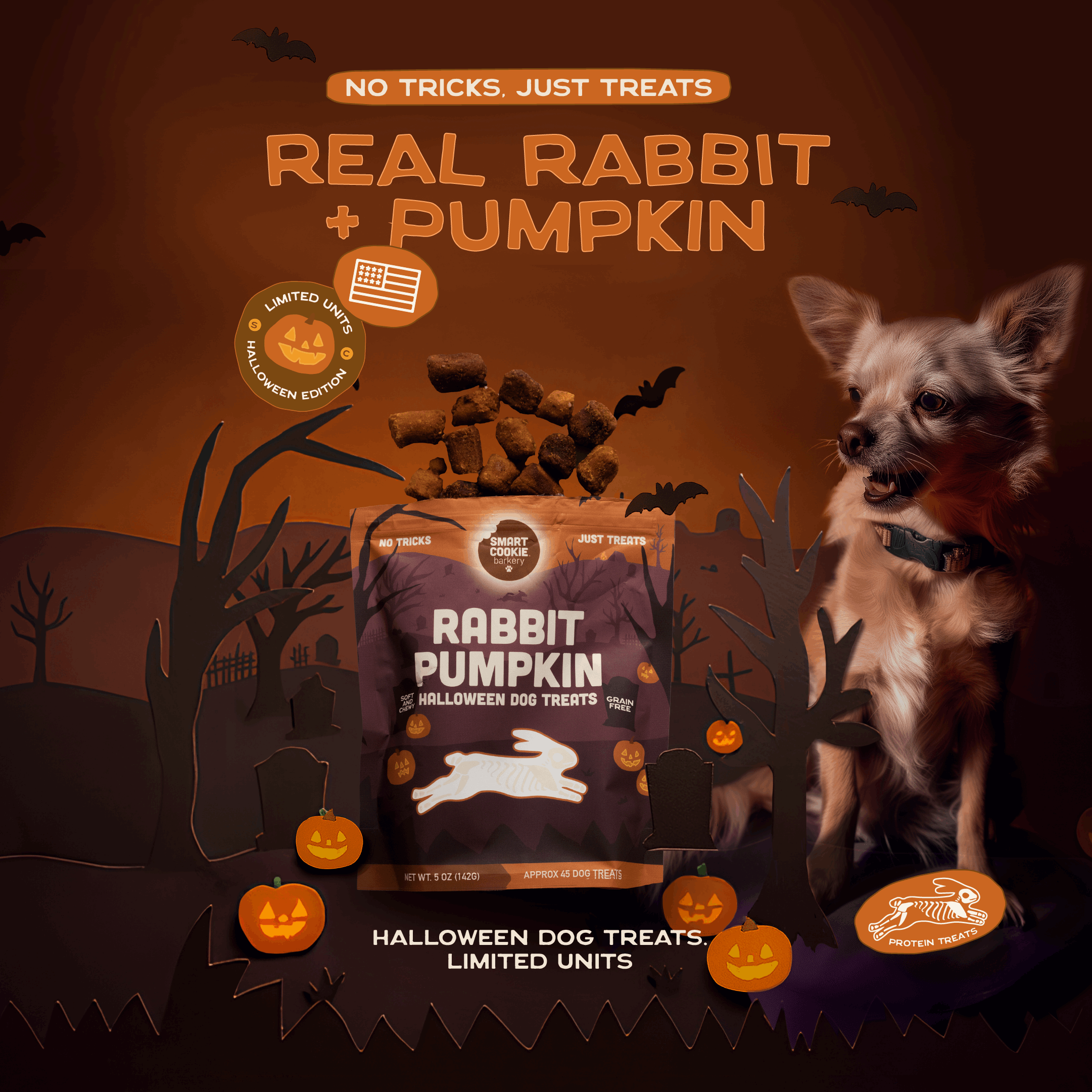 Rabbit + Pumpkin Bundle – Halloween Edition