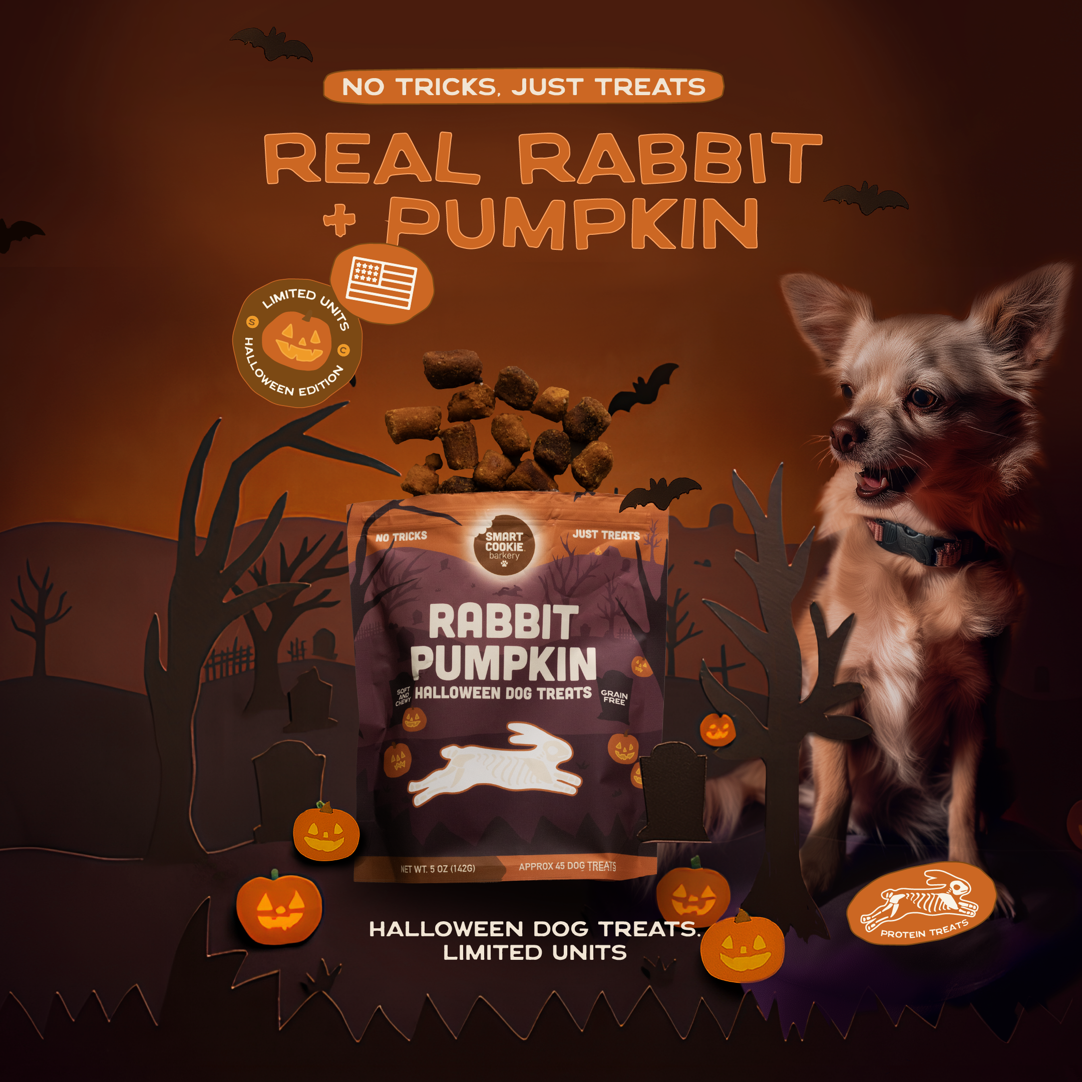 Rabbit + Pumpkin Bundle – Halloween Edition