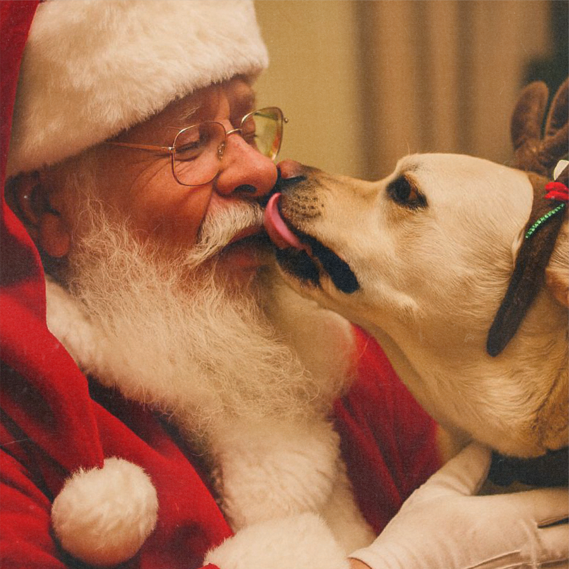 Smart Cookie Dog Treats