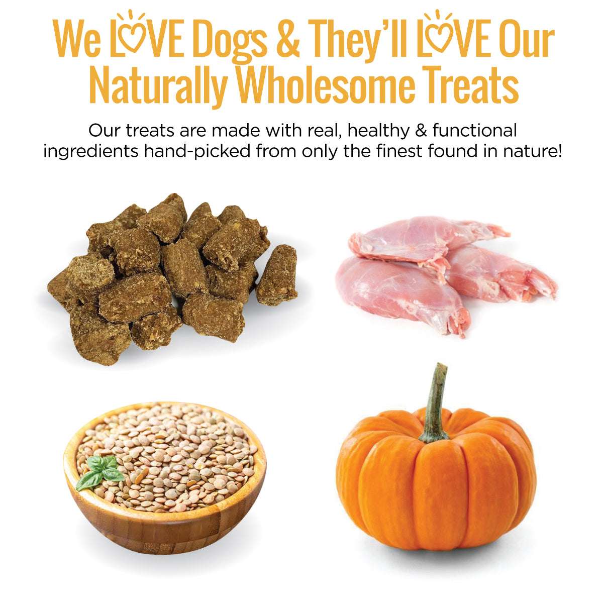 Rabbit + Pumpkin Dog Treat Bundle