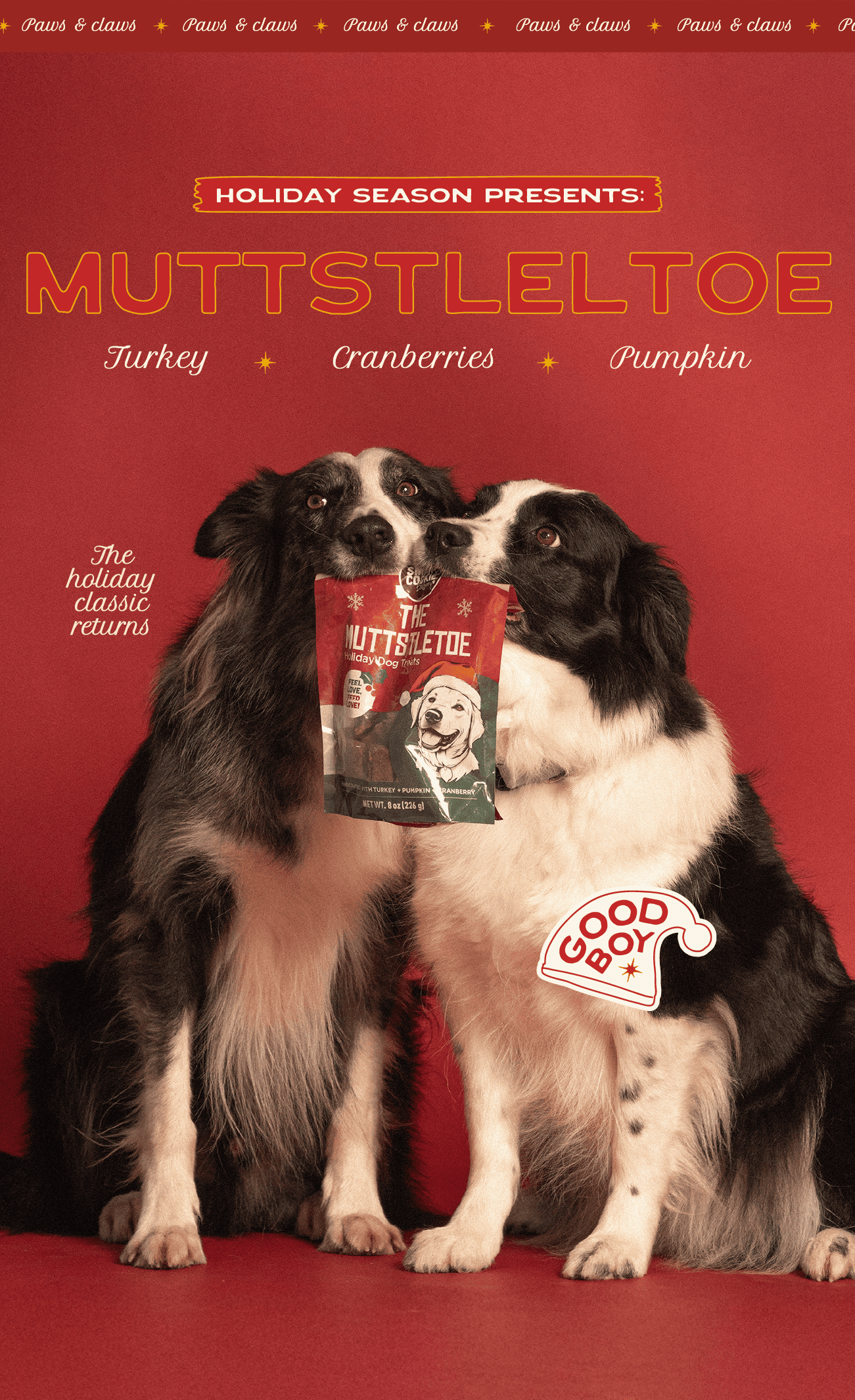 Smart Cookie Dog Treats