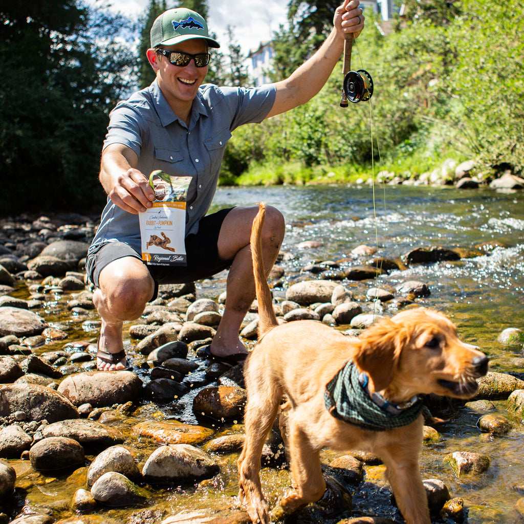 Smart Cookie Rabbit and Pumpkin Treats with Golden Retriever Puppy