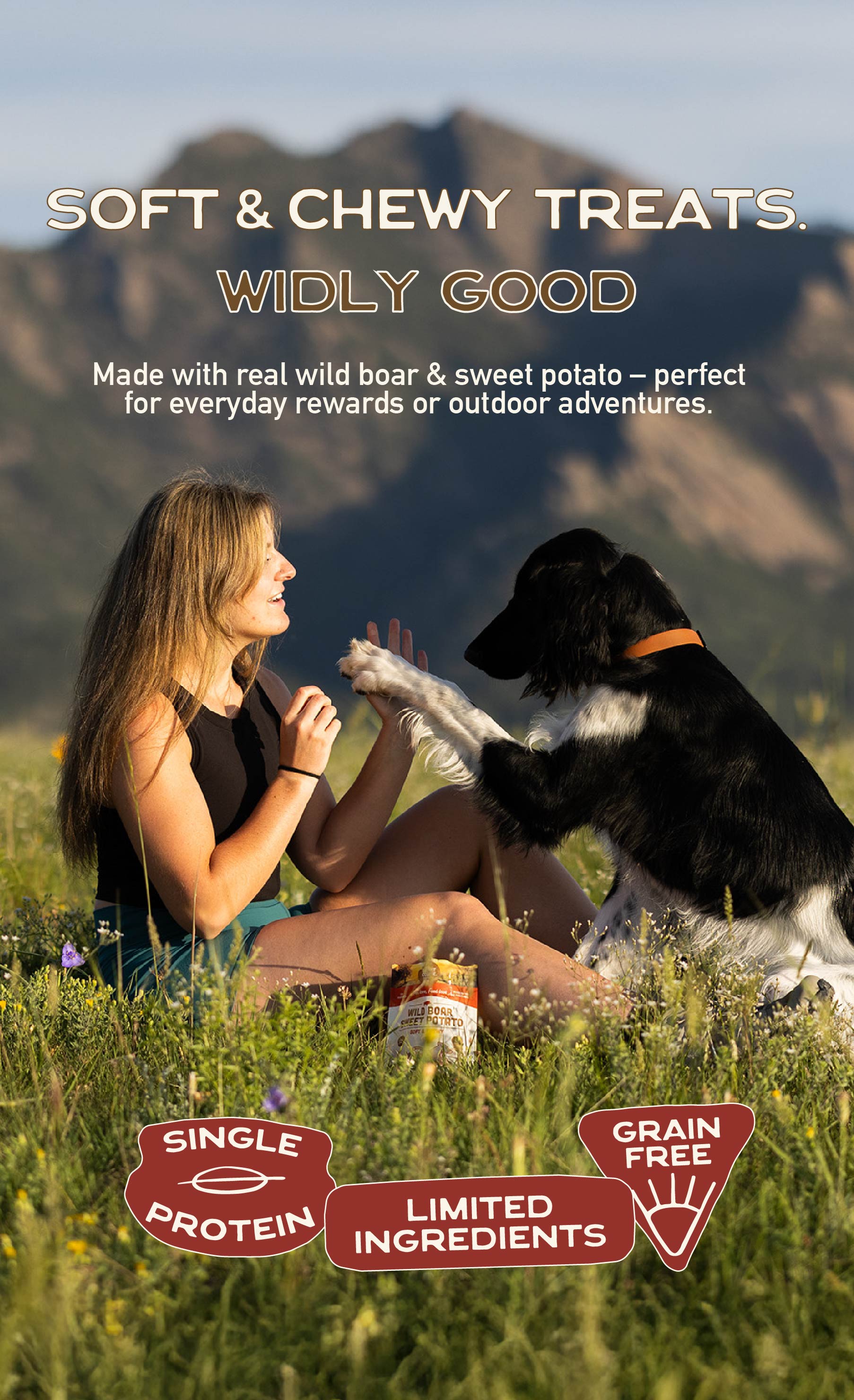 Smart Cookie Dog Treats