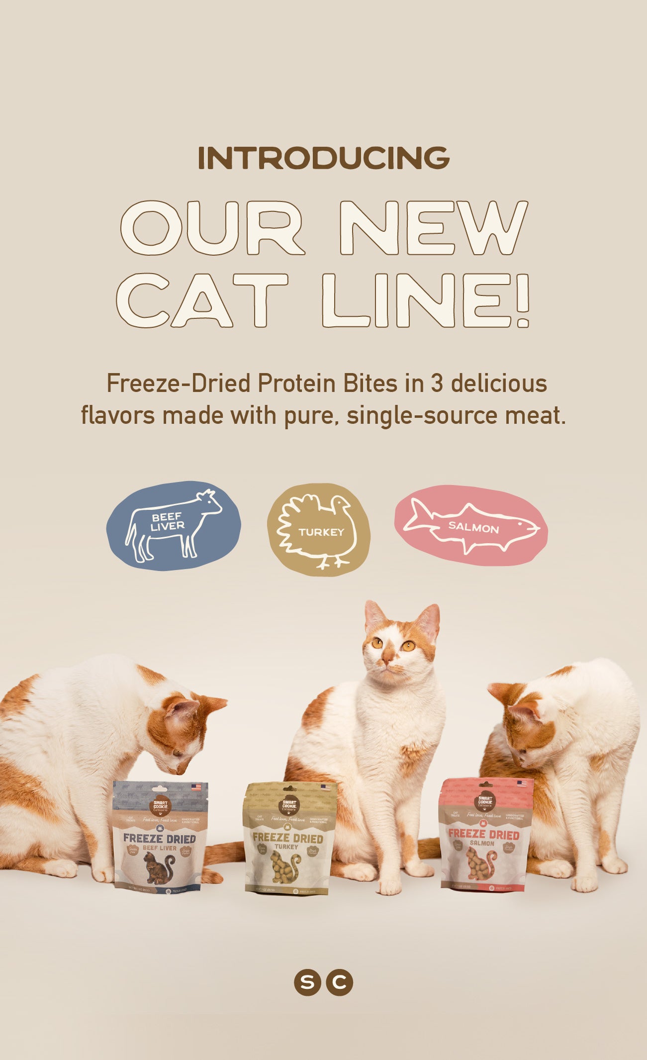 Smart Cookie Dog Treats