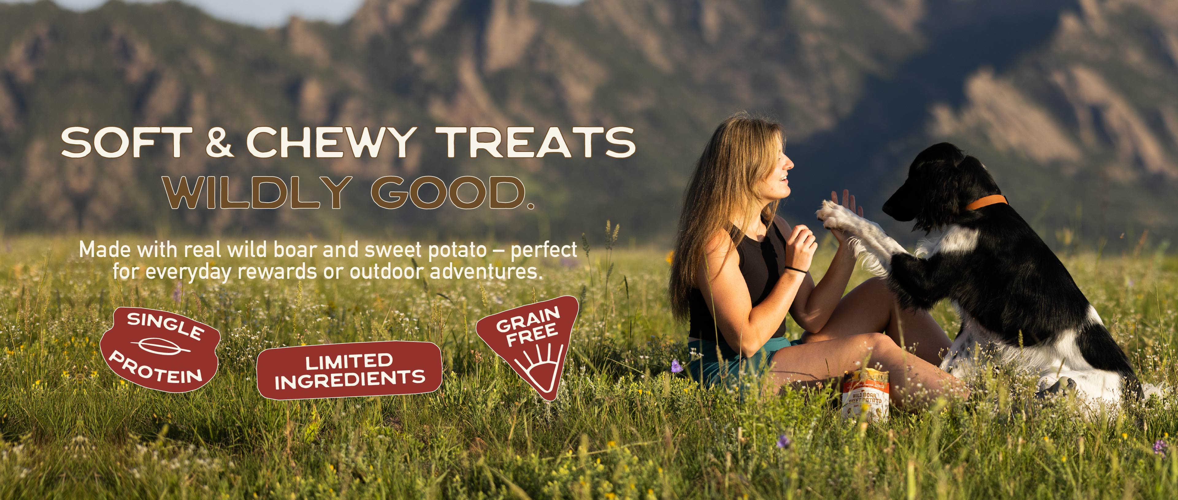 Smart Cookie Dog Treats