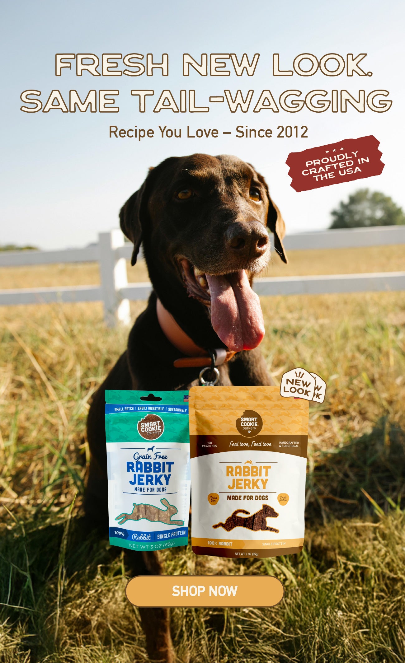 Smart Cookie Dog Treats