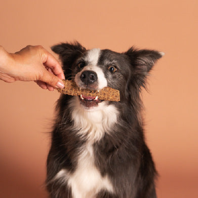 Smart Cookie Dog Treats