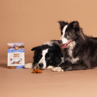 Smart Cookie Dog Treats