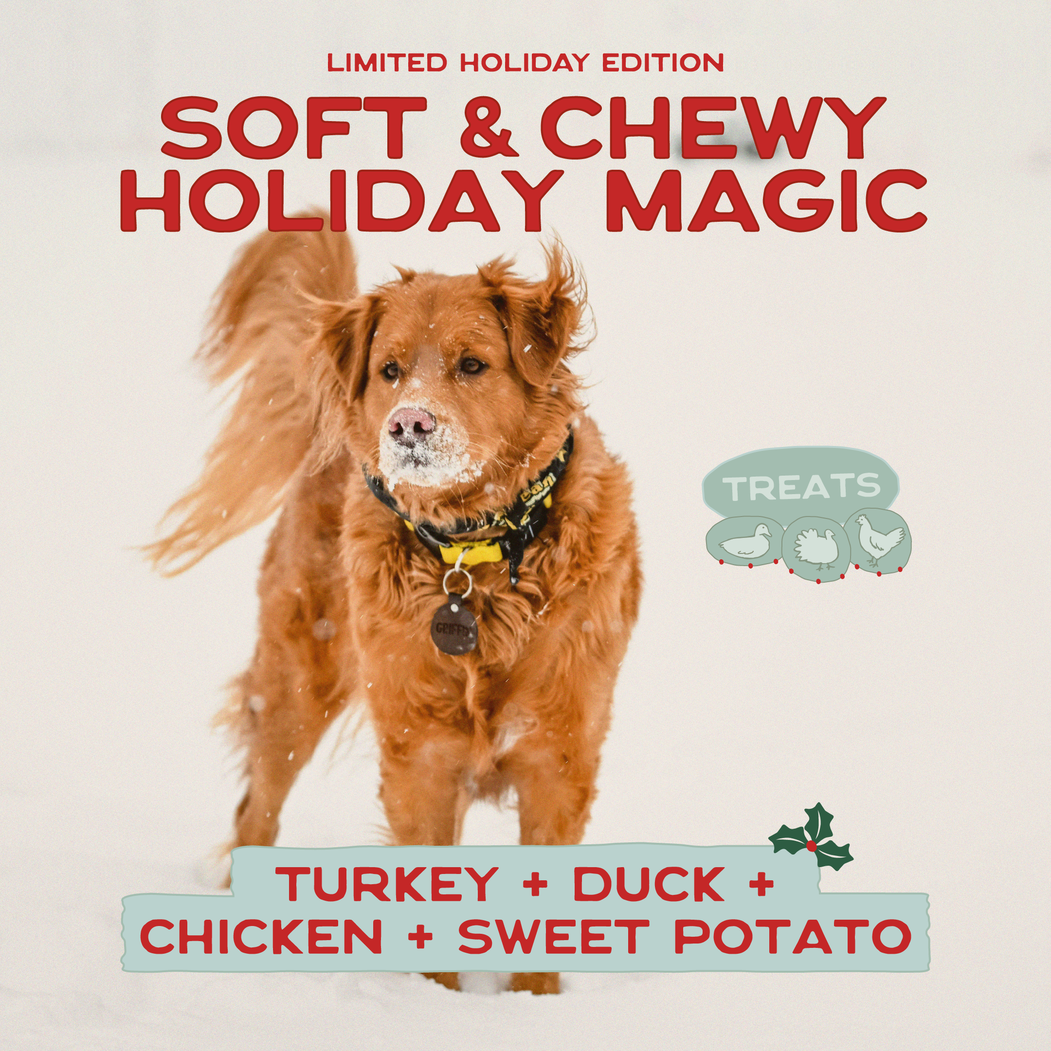 Smart Cookie Dog Treats