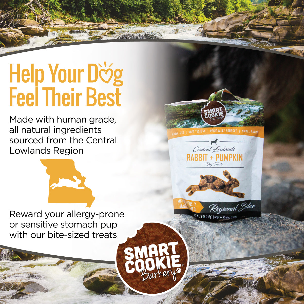 Smart Cookie Dog Treats