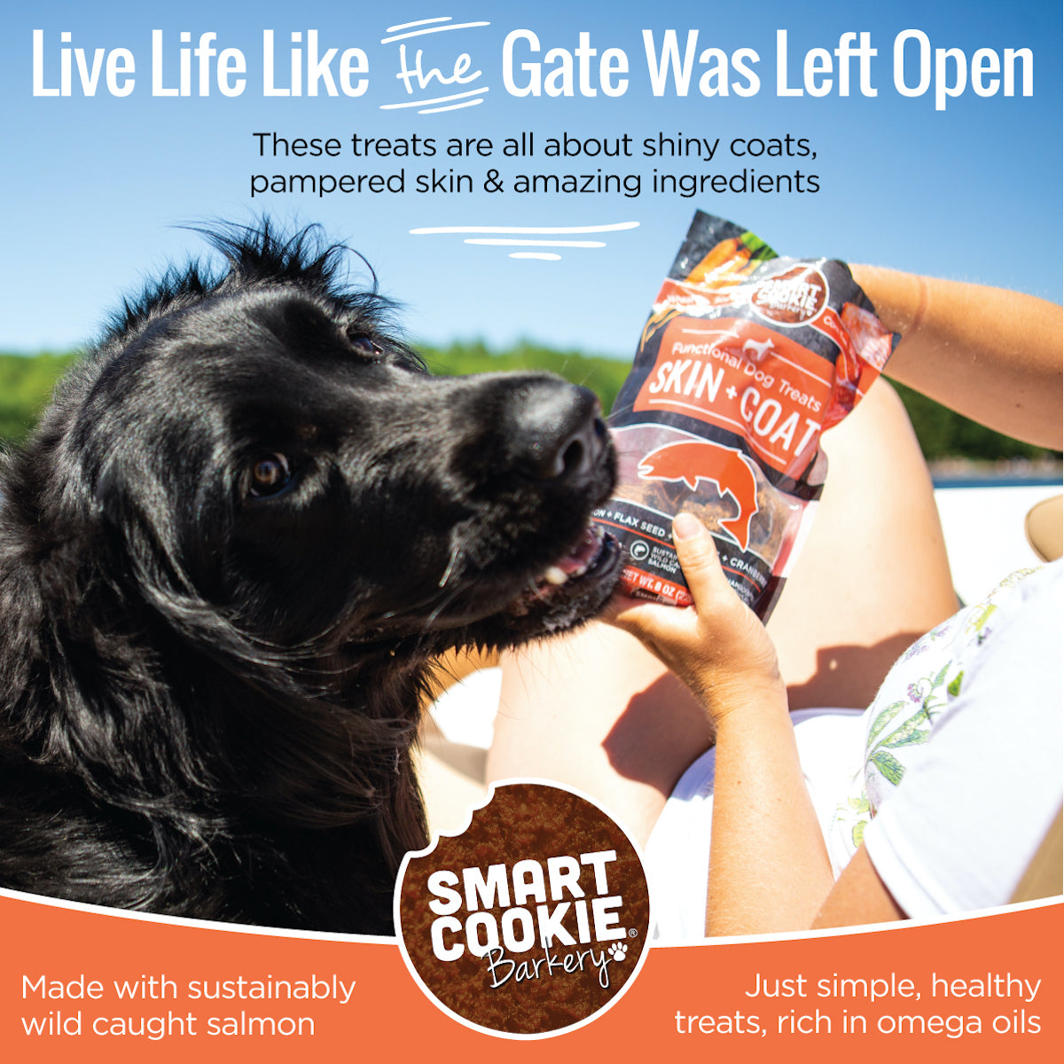 Smart Cookie Dog Treats