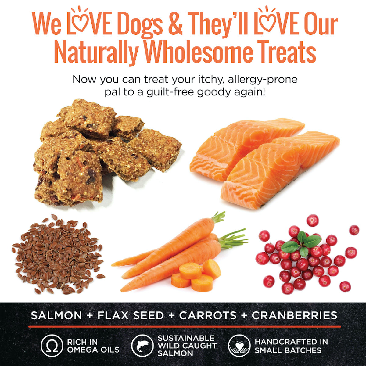 Smart Cookie Salmon Dog Treats for Skin and Coat Smart Cookie Dog Treats