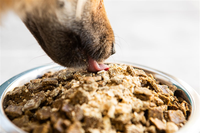 Smart Cookie Dog Treats