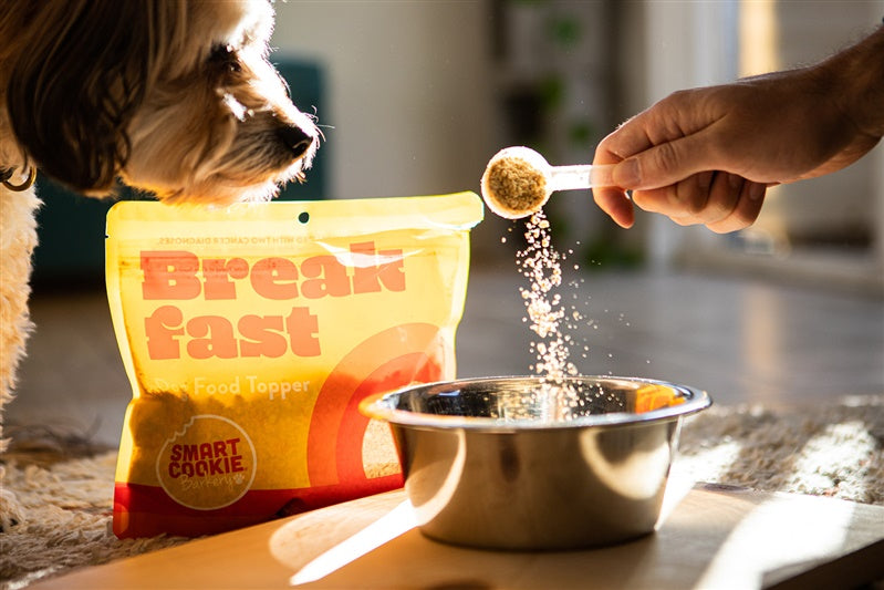 Smart Cookie Dog Treats