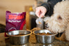 Freeze Dried Dog Food Topper Variety Pack