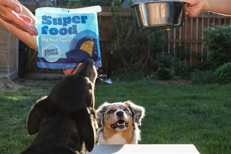 Smart Cookie Dog Treats