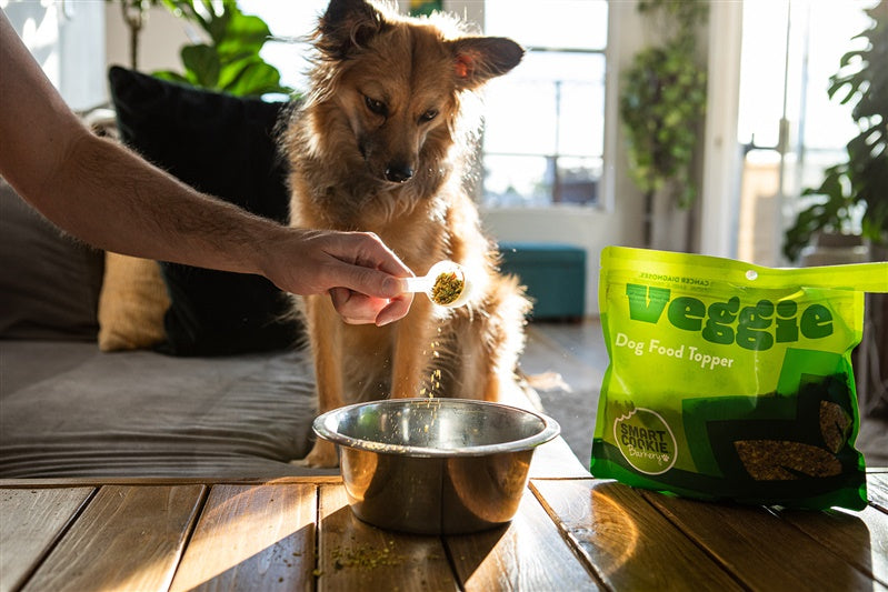 Smart Cookie Dog Treats