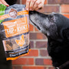 Smart Cookie Hip and Joint Functional Treats with Senior Dog
