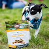 Best Sellers Variety Pack - 4 flavors - Rabbit & Pumpkin, Superfood Dog Food Topper, Salmon Skin & Coat Treats, and Rabbit Jerky