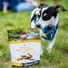 Best Sellers Variety Pack - 4 flavors - Rabbit & Pumpkin, Superfood Dog Food Topper, Salmon Skin & Coat Treats, and Rabbit Jerky
