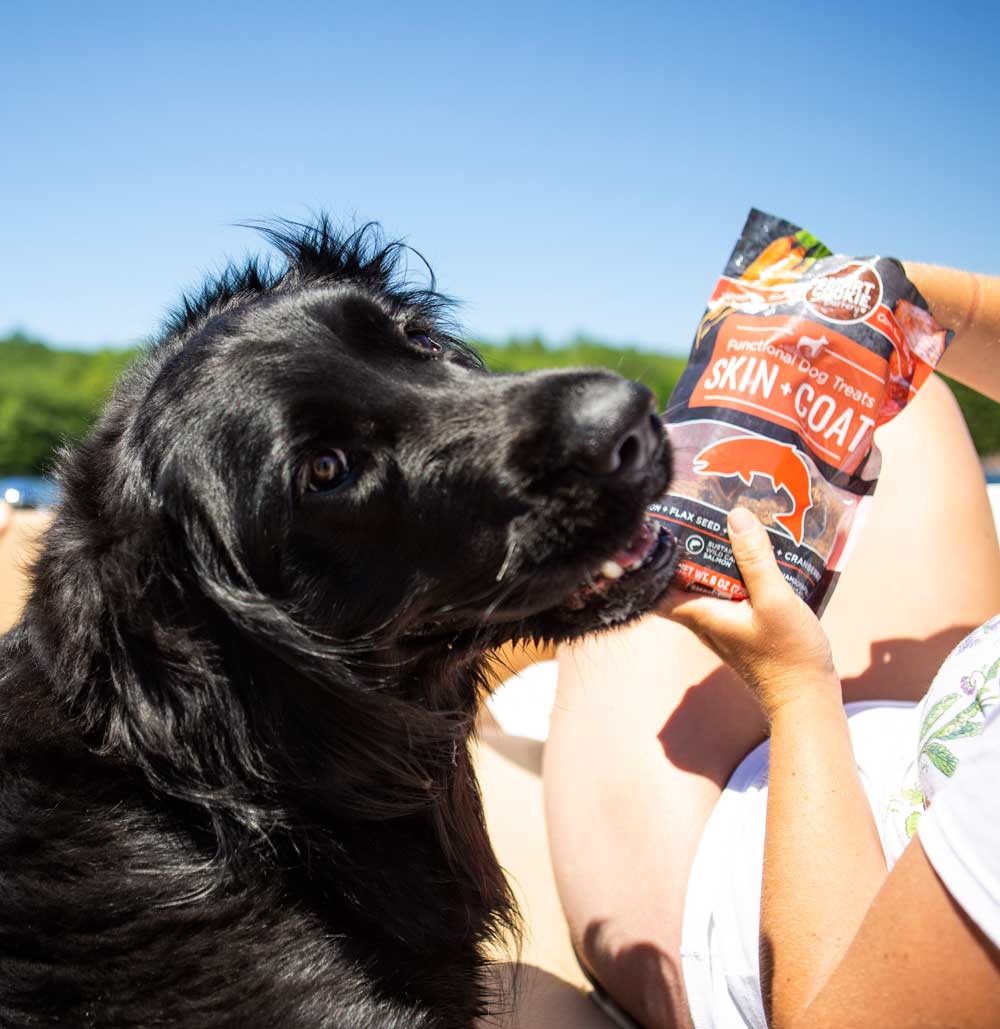 Smart Cookie Dog Treats
