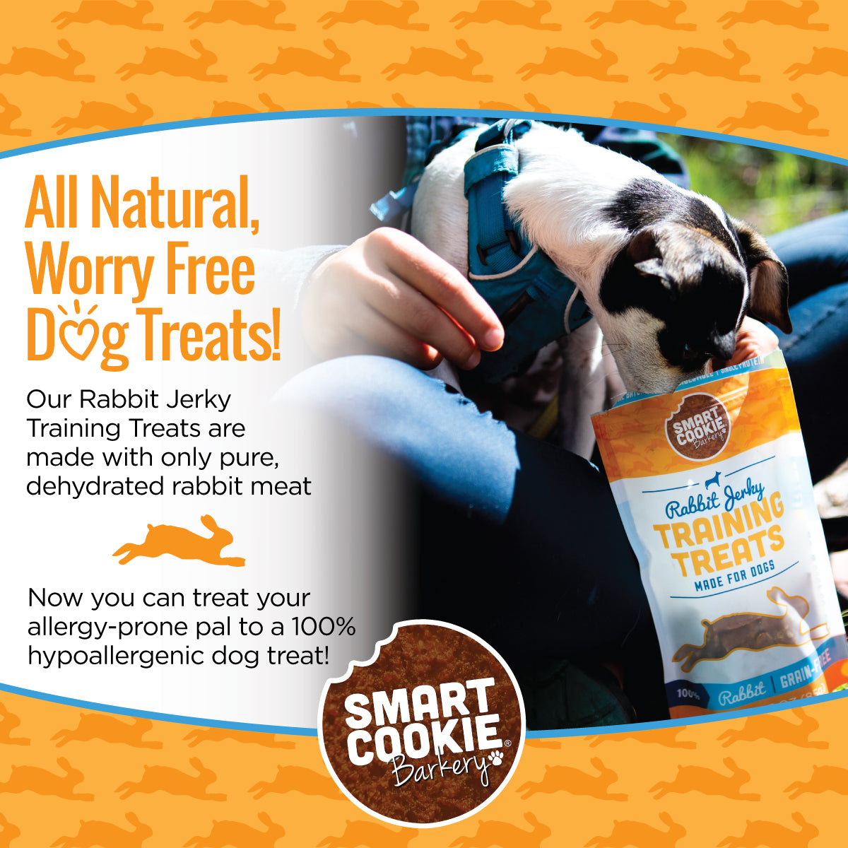 Smart Cookie Dog Treats