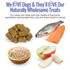 Trout & Apple Grain Free Dog Treats for Sensitive Stomachs & Allergies