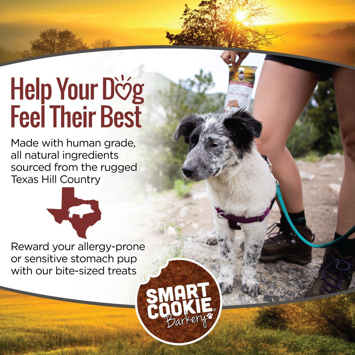 Smart Cookie Dog Treats